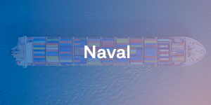 sector naval
